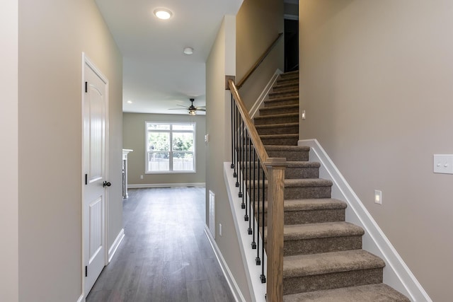 staircase featuring ceiling fan and hardwood / wood-style floors