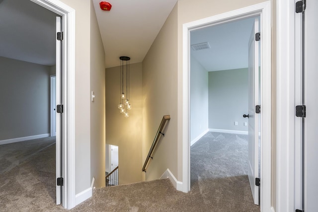 stairs with carpet floors