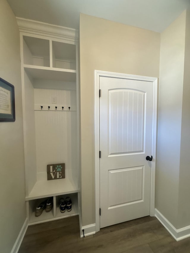 mudroom featuring dark hardwood / wood-style flooring