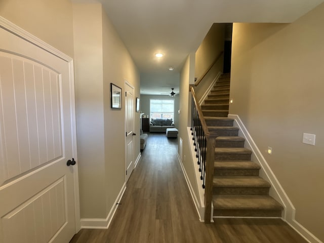 hall featuring dark hardwood / wood-style floors