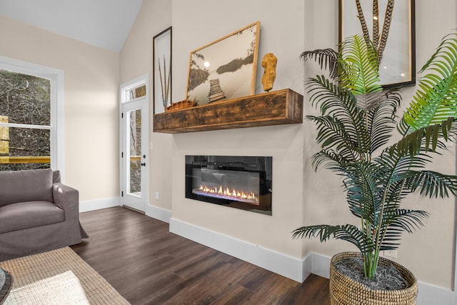 living room featuring dark wood-type flooring and lofted ceiling