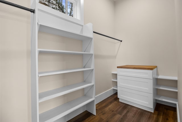 spacious closet with dark hardwood / wood-style flooring and a barn door