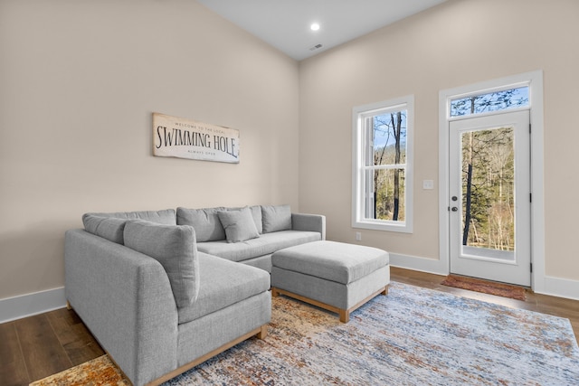 living room featuring dark hardwood / wood-style flooring