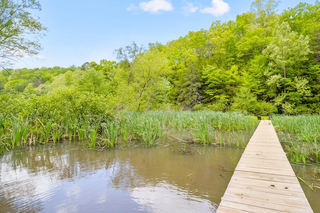 780 Lake Rd, London, KY 40741 - view of dock