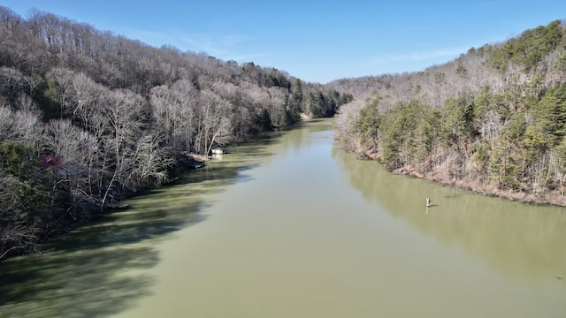 780 Lake Rd, London, KY 40741 - water view featuring a heavily wooded area