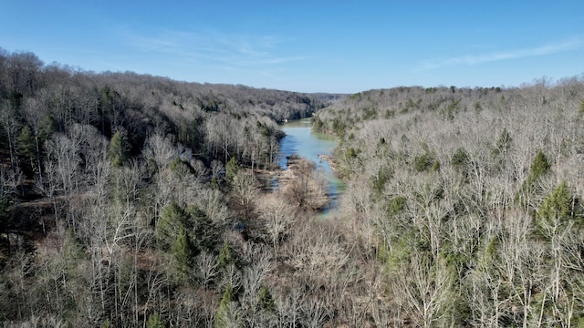 780 Lake Rd, London, KY 40741 - water view featuring a heavily wooded area