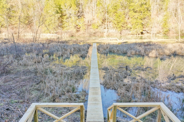 dock area featuring a water view