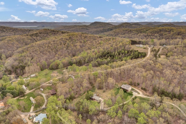 579 Fraley Rd, Salt Lick, KY 40371 - aerial view with a mountain view and a view of trees