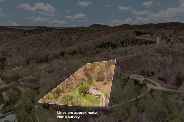 579 Fraley Rd, Salt Lick, KY 40371 - birds eye view of property with a wooded view