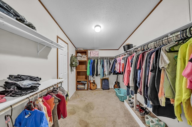 579 Fraley Rd, Salt Lick, KY 40371 - walk in closet with carpet