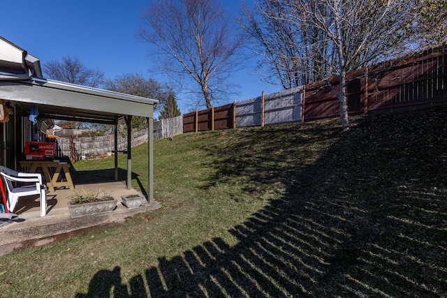 view of yard with a patio area and a fenced backyard