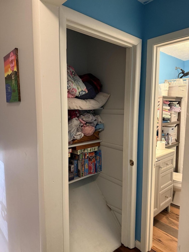 view of closet