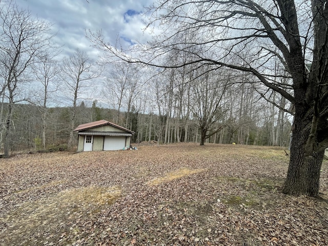 view of yard with a garage