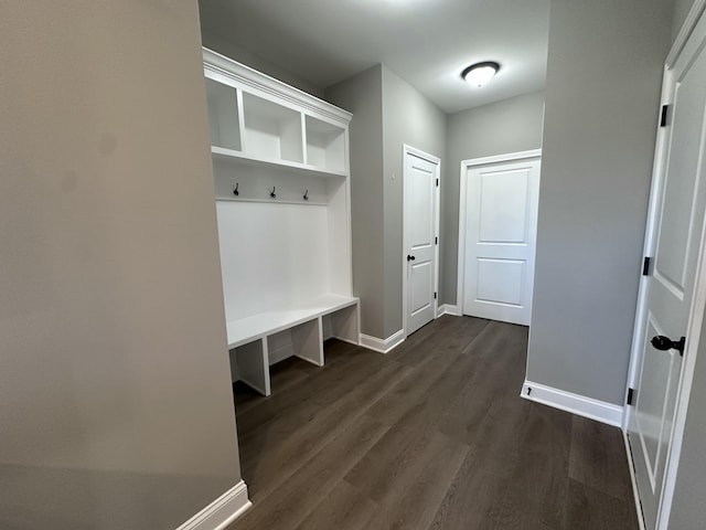 mudroom with dark hardwood / wood-style flooring