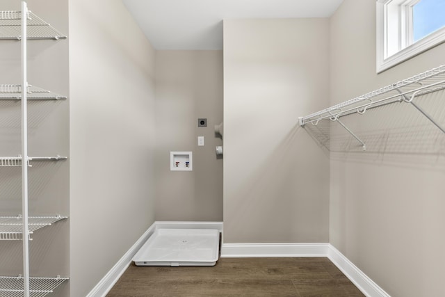 spacious closet featuring dark wood-type flooring