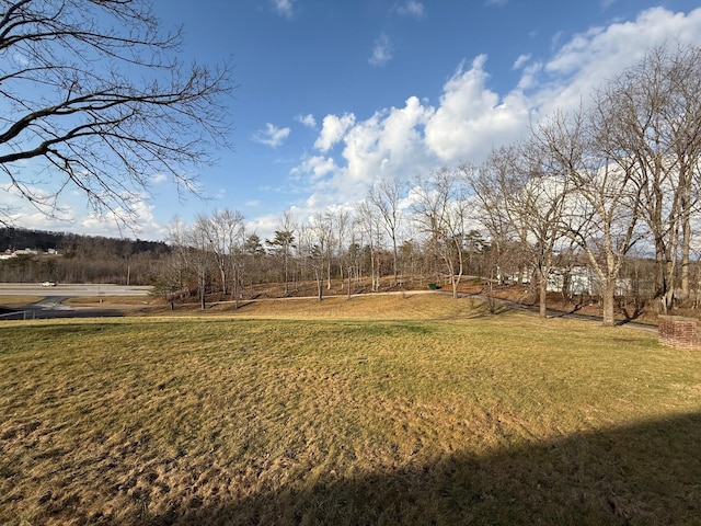 view of yard featuring a rural view