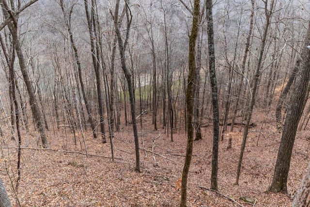 view of local wilderness