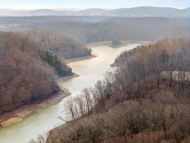 drone / aerial view with a water and mountain view