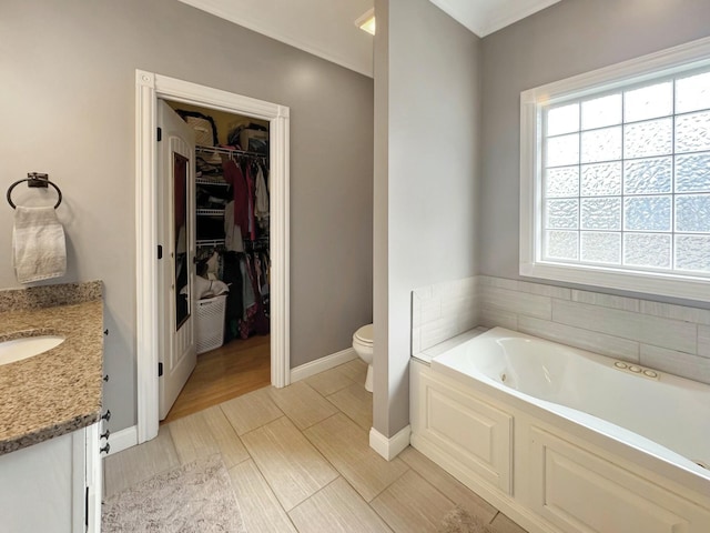 bathroom with vanity, toilet, and a bathing tub