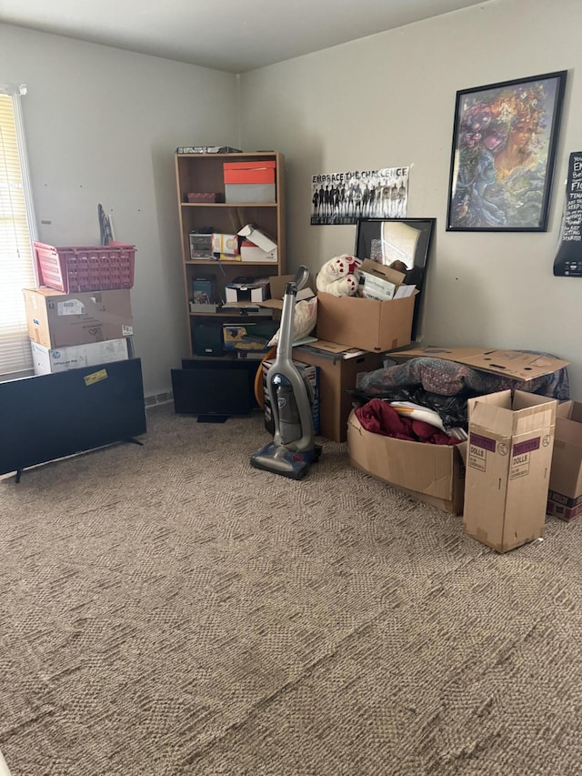 bedroom featuring carpet flooring