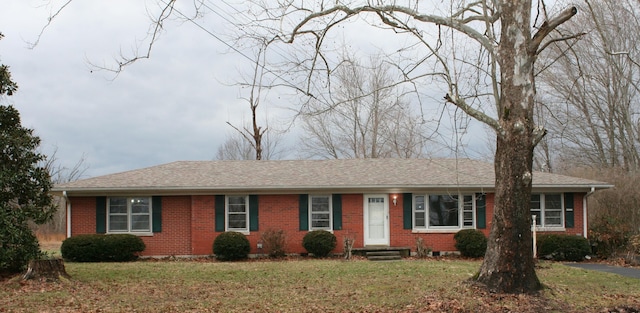 ranch-style house featuring a front yard