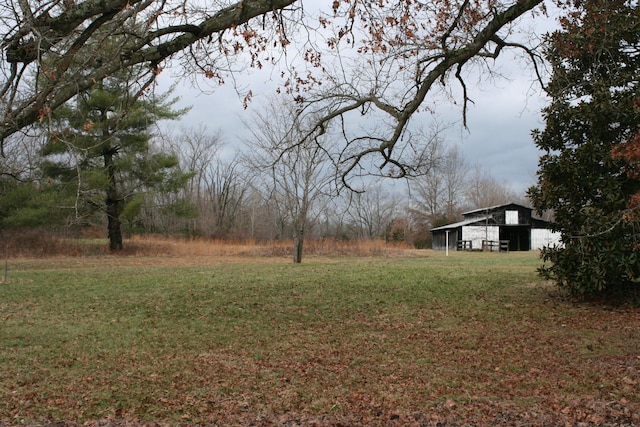 view of yard with an outdoor structure