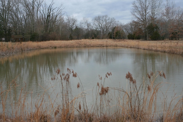 view of water feature