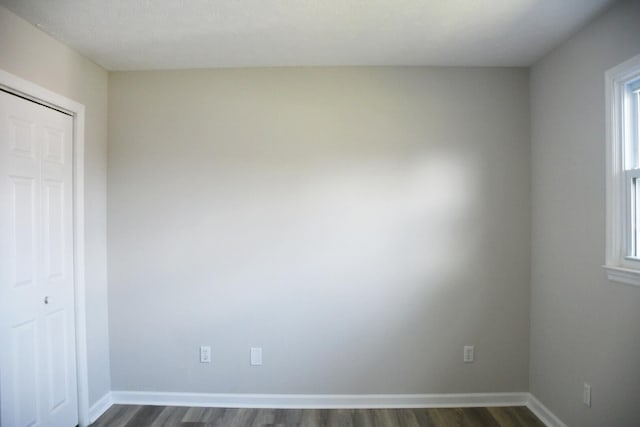 interior space featuring multiple windows, dark wood-type flooring, and a closet