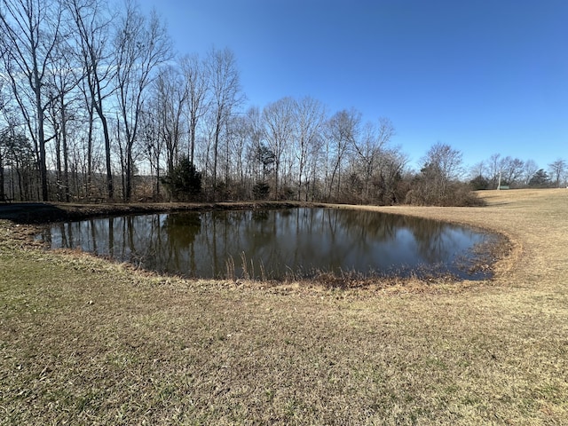 view of water feature