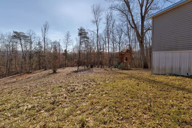 view of yard featuring a playground