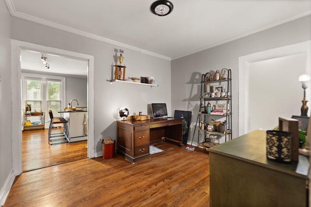 office space featuring ornamental molding and wood-type flooring