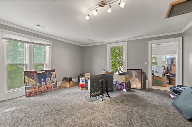 recreation room featuring crown molding, rail lighting, carpet flooring, and a healthy amount of sunlight