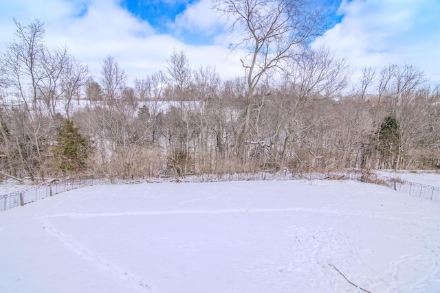 view of yard layered in snow