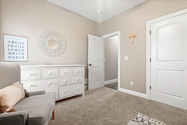 living area featuring carpet flooring