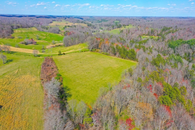 birds eye view of property with a rural view