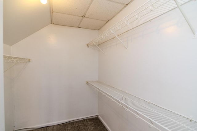 spacious closet with a drop ceiling