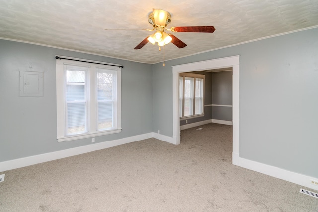 empty room with crown molding, carpet floors, and a textured ceiling