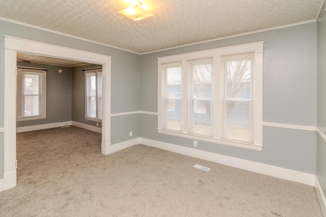 carpeted spare room featuring crown molding and a textured ceiling