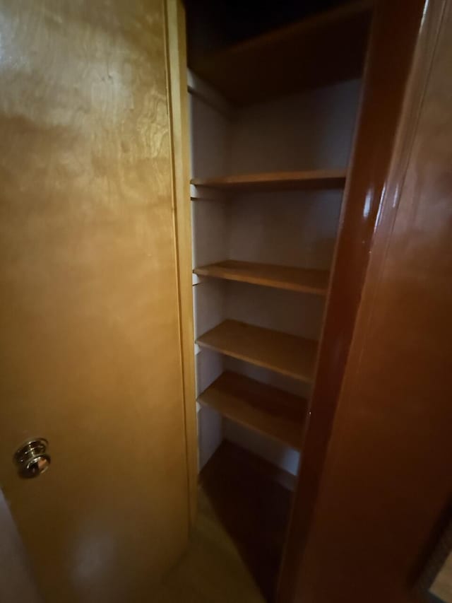 view of closet