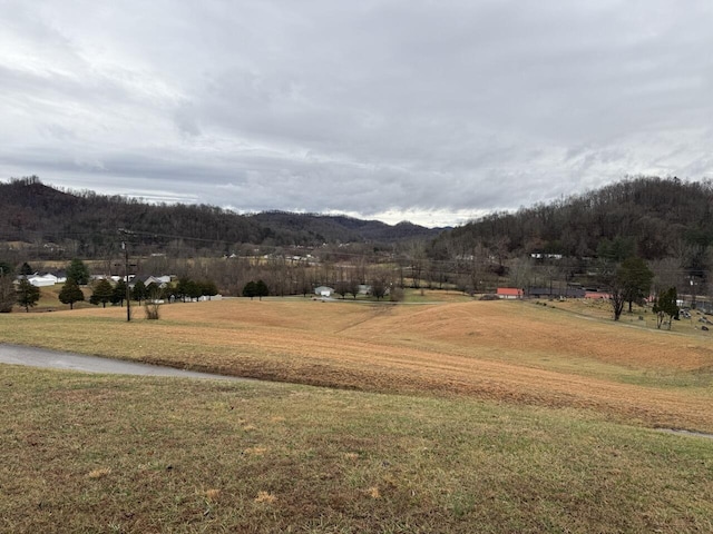 view of mountain feature with a rural view