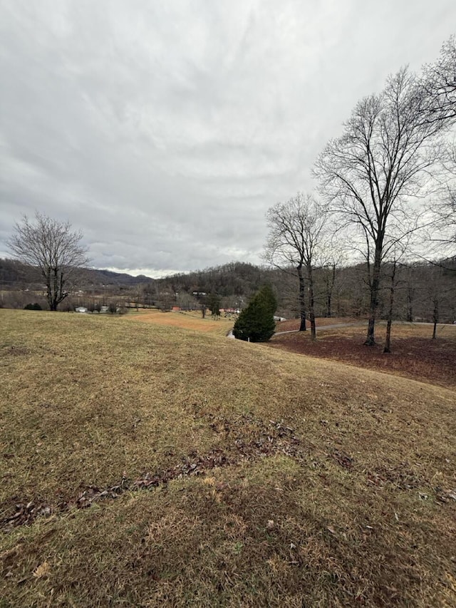 view of yard with a rural view