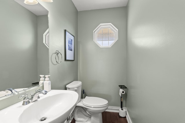 bathroom with sink, hardwood / wood-style floors, and toilet