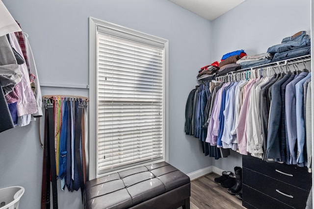 walk in closet featuring wood finished floors