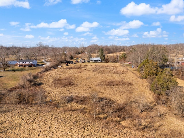 1067 Fort Bramlett Rd, Nicholasville, KY 40356 - mountain view with a rural view