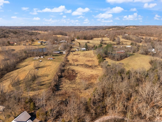 1067 Fort Bramlett Rd, Nicholasville, KY 40356 - birds eye view of property with a rural view
