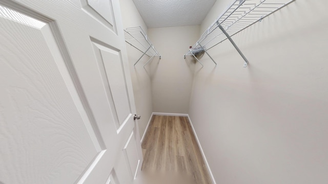 spacious closet with light hardwood / wood-style flooring