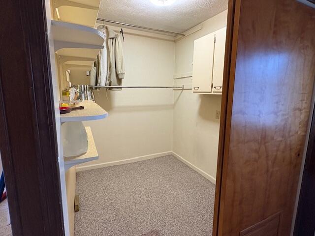 walk in closet with light colored carpet