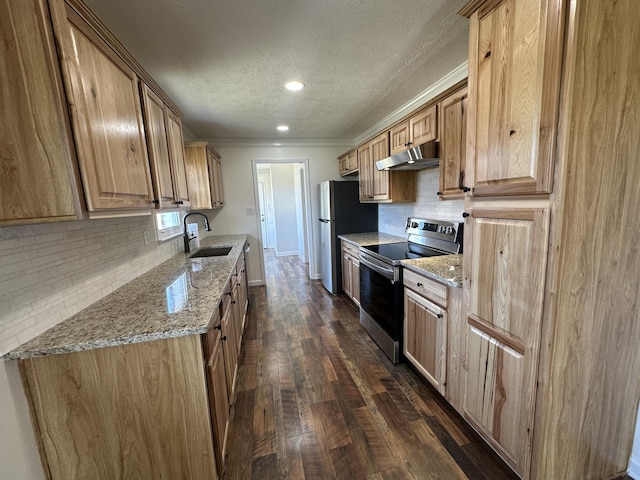 kitchen with dark hardwood / wood-style floors, sink, decorative backsplash, stainless steel appliances, and light stone countertops