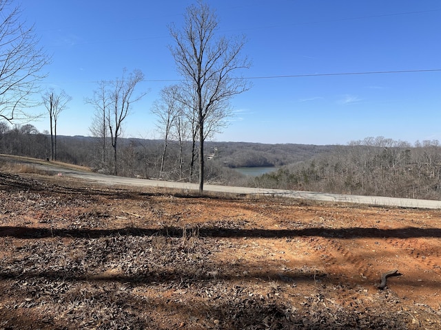 3002 Davidson Rd, Burkesville KY, 42717 land for sale