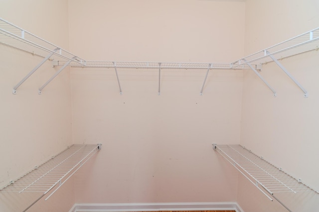 view of walk in closet